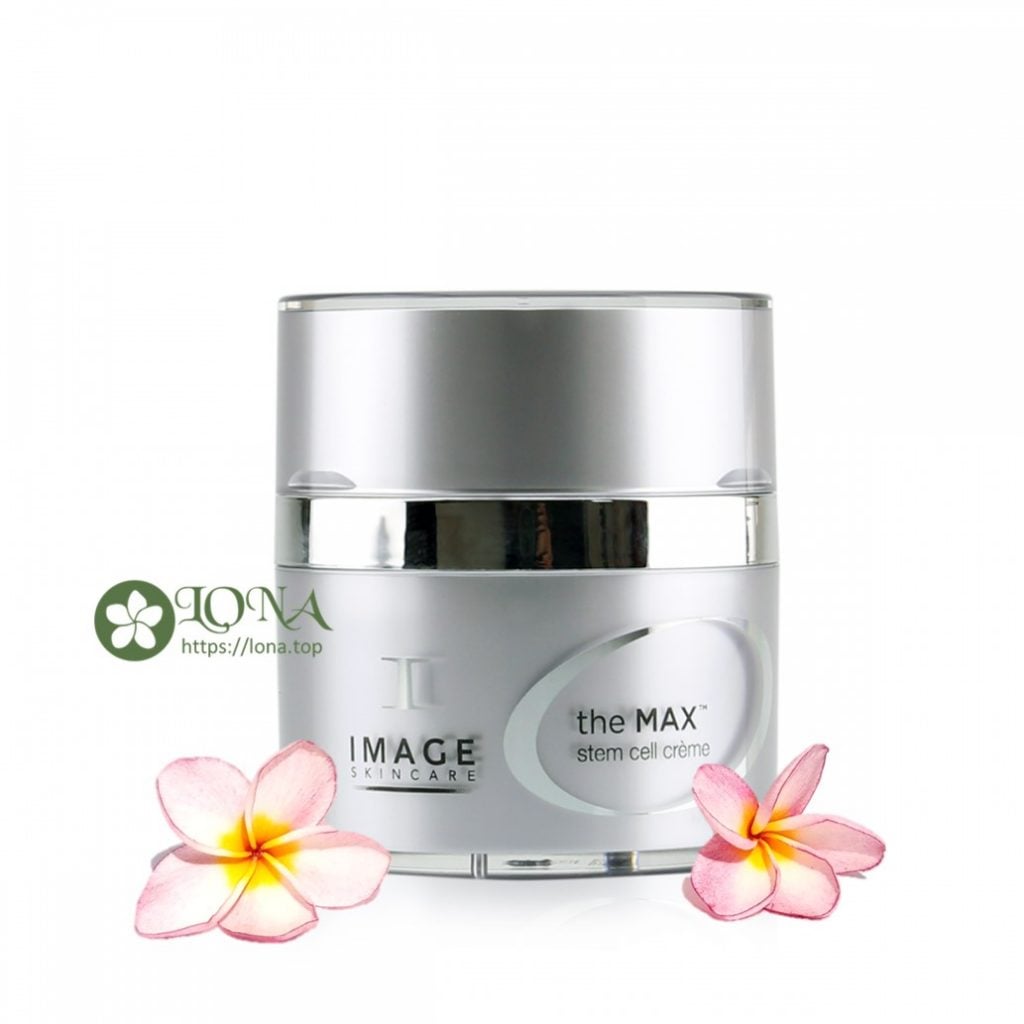 Kem chống lão hóa Images Skincare The Max Stem Cell Creme
