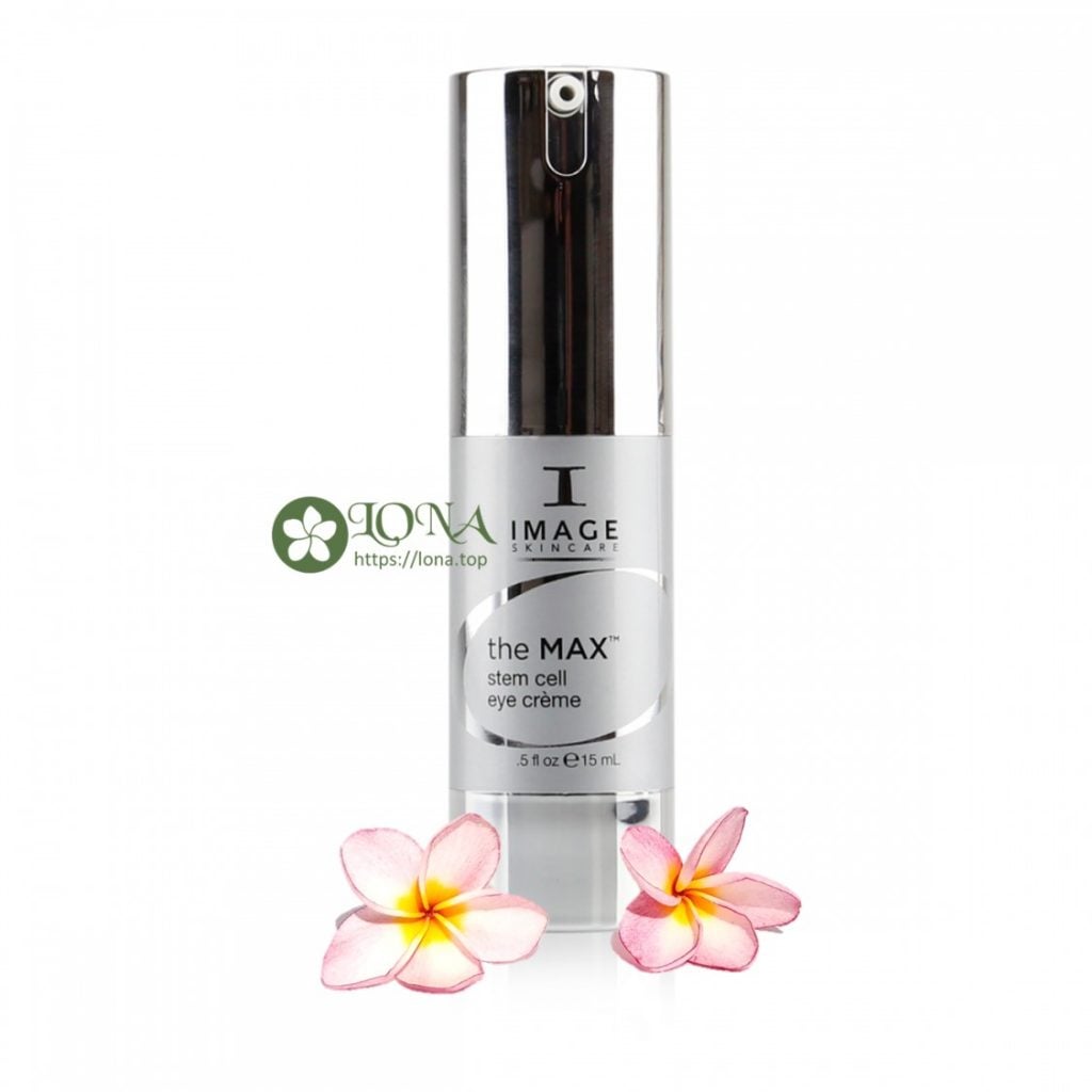 collagen image