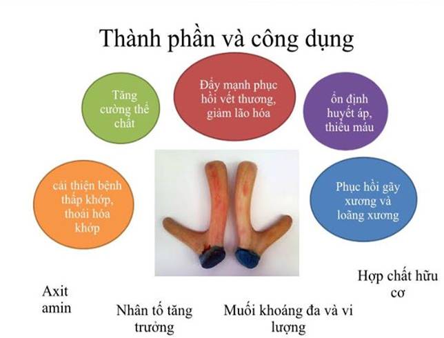 tế bào gốc Nhung Hươu Medigen có tốt không